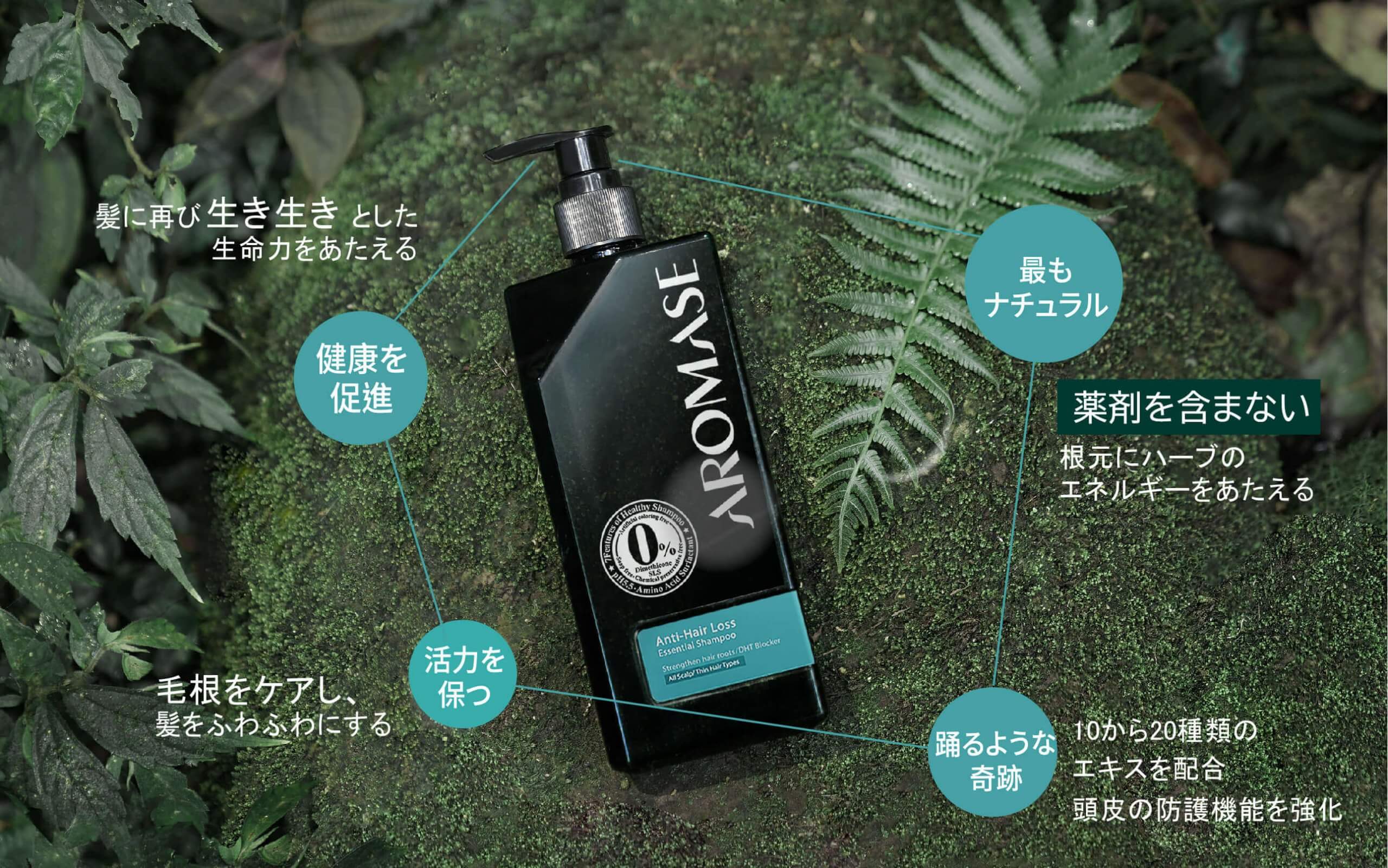 AROMASE japan Anti hair loss shampoo (1)