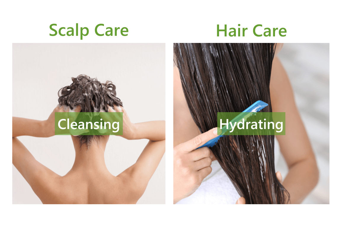 AROMASE oily scalp and dry ends_scalp care (3)