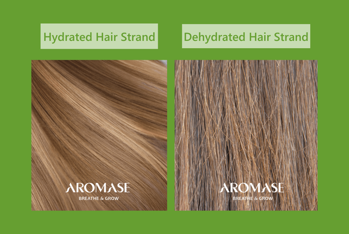 AROMASE oily scalp and dry ends_scalp care_what does dry hair end look like
