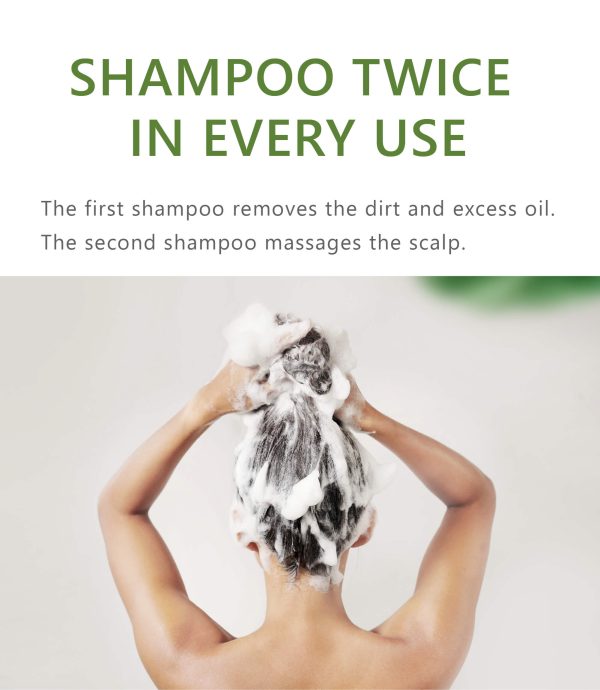Anti-oil scalp shampoo-aromase-1