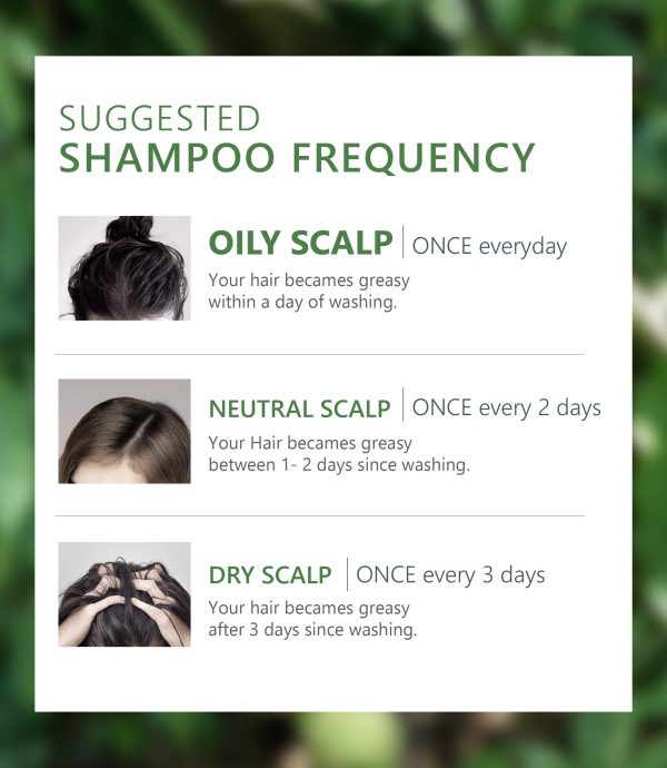 Anti-oil scalp shampoo-aromase-5