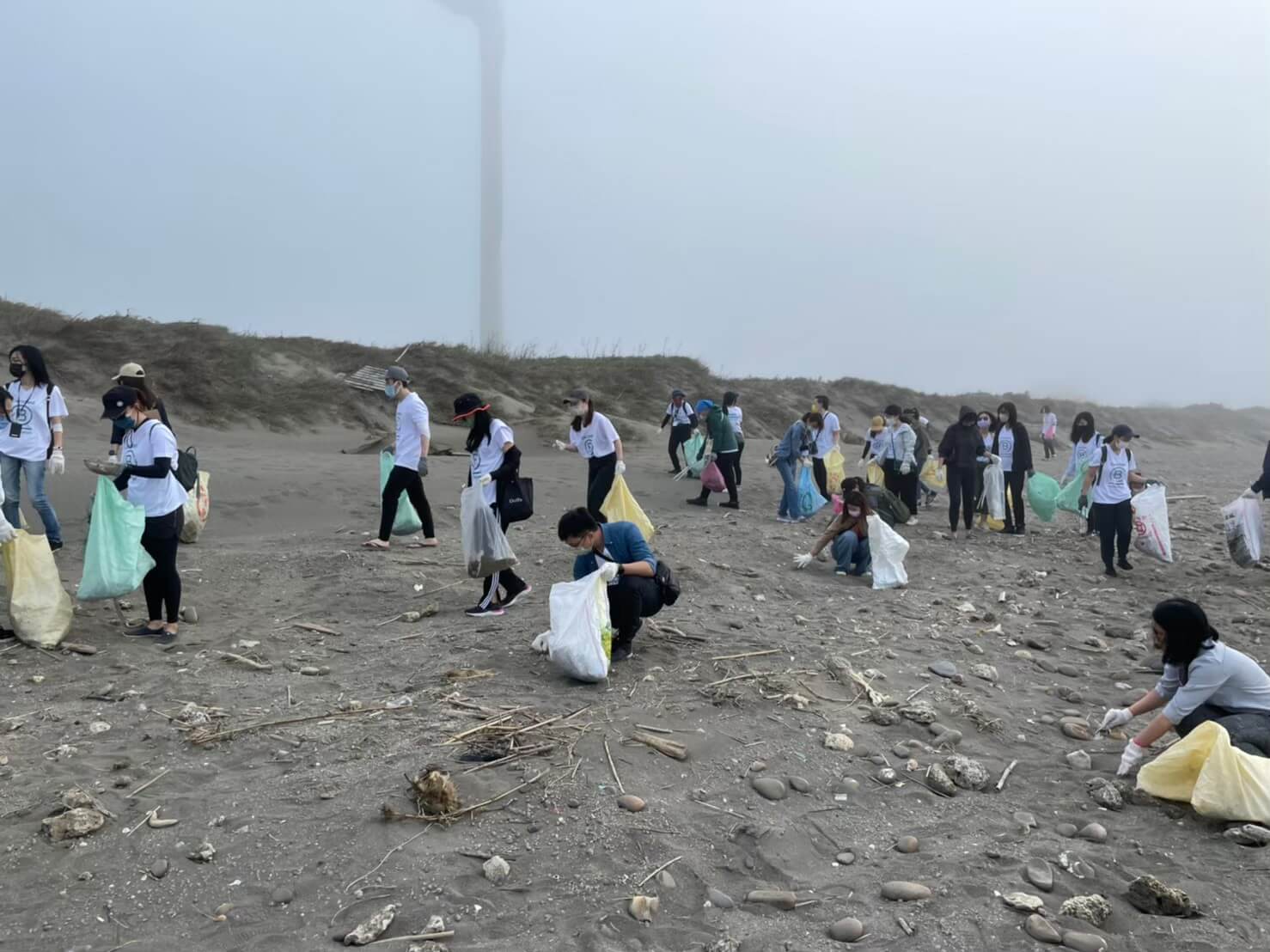 AROMASE beach clean event (1)